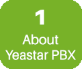 yeastar-1-green